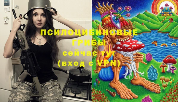 мяу мяу мука Алзамай