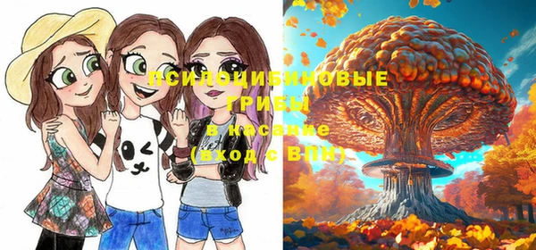амф Алексеевка