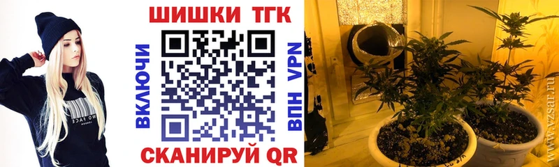Бошки Шишки MAZAR  Старый Оскол 