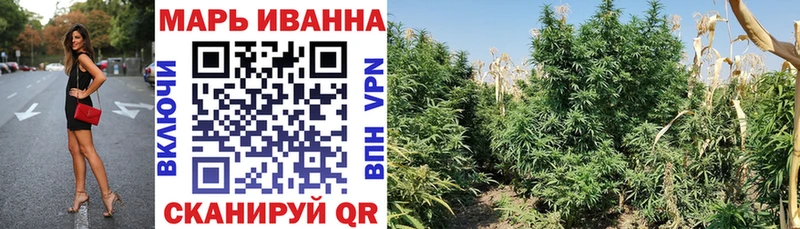 Шишки марихуана сатива Старый Оскол